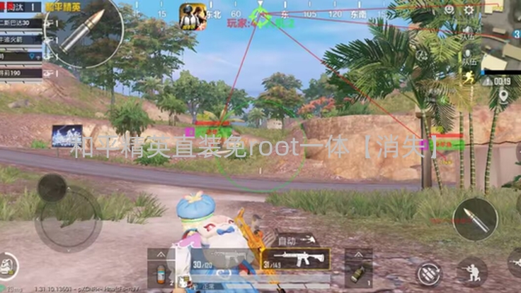 和平精英直装免root一体【消失】
